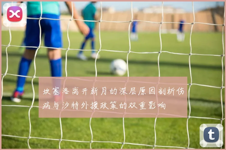 坎塞洛离开新月的深层原因剖析伤病与沙特外援政策的双重影响