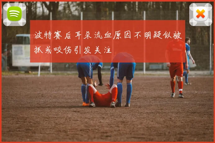 波特赛后耳朵流血原因不明疑似被抓或咬伤引发关注